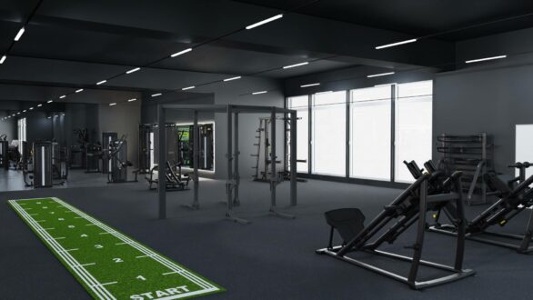 EF-Wiesloch_Functional